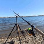 Заморозки -3°C и северный ветер: где искать карася 10-12 апреля? Прогноз клева