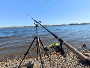 Нерестовый запрет 2026 в Украине: где можно ловить, сроки, правила и штрафы