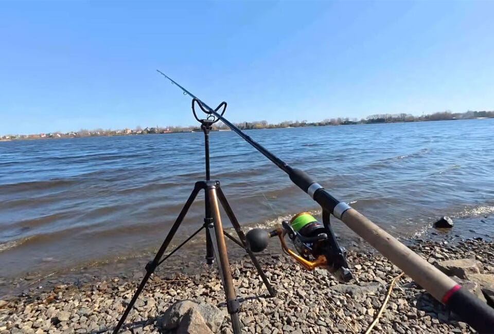 Нерестовый запрет 2026 в Украине: где можно ловить, сроки, правила и штрафы