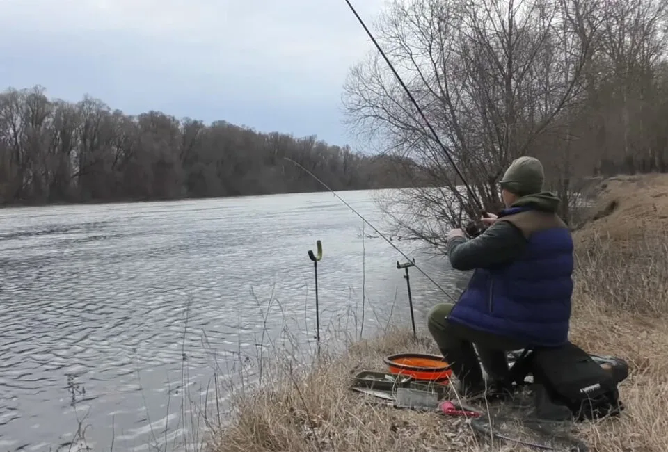 Нерестовый запрет 2026: новые правила и разрешенные места на Десне и Днепре