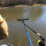 Дозволені місця для ловлі риби у Вінницькій області під час нересту 2026 – повний перелік водойм