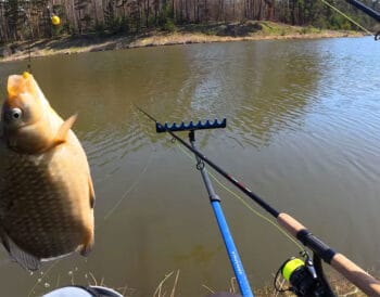 Нові правила риболовлі в Україні 2026 - штрафи, норми вилову, гачки, нерест