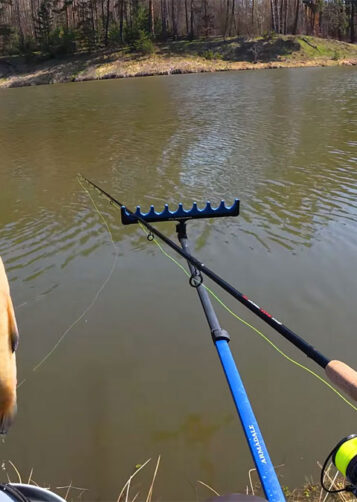 Нові правила риболовлі в Україні 2026 - штрафи, норми вилову, гачки, нерест