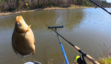 Нові правила риболовлі в Україні 2026 - штрафи, норми вилову, гачки, нерест