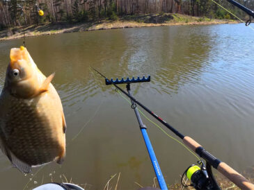 Нові правила риболовлі в Україні: за що можуть оштрафувати рибалок у 2026 році