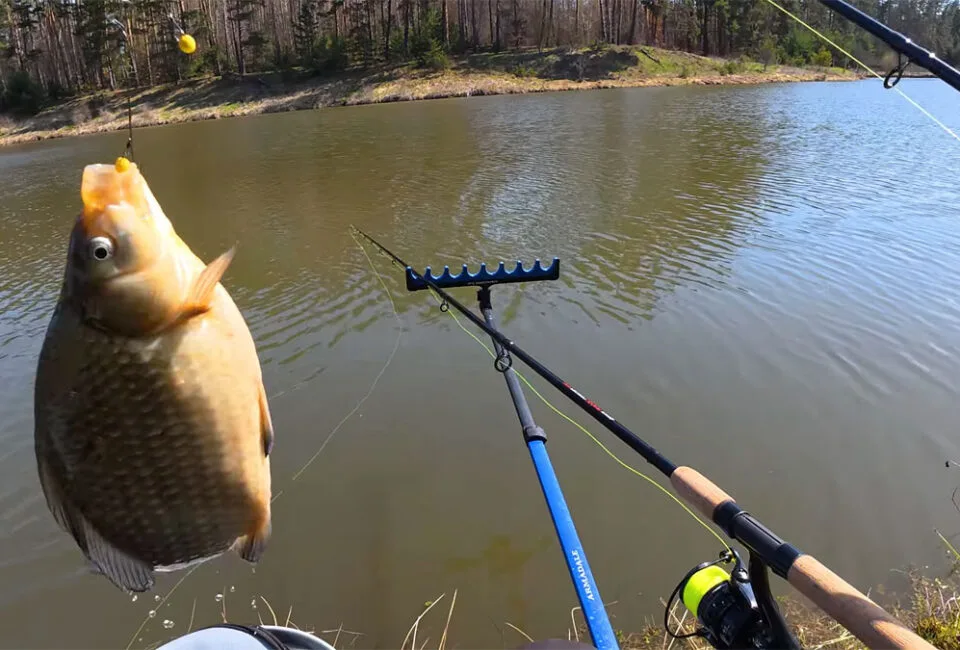 Нові правила риболовлі в Україні 2026 - штрафи, норми вилову, гачки, нерест