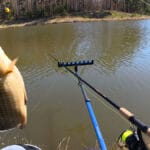 Разрешенные места для ловли рыбы в Винницкой области во время нереста 2026 — полный перечень водоемов