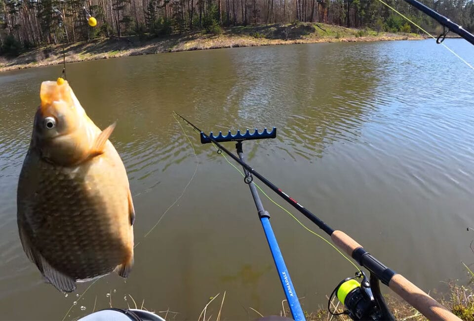 Новые правила рыбалки в Украине 2026 - штрафы, нормы вылова, крючки, нерест