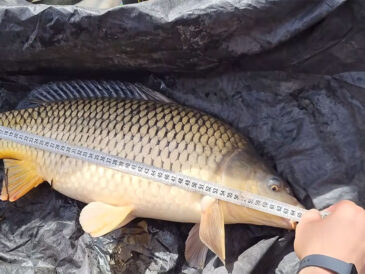 За что рыбаков чаще всего штрафуют в Украине в 2026 году: 5 ошибок, которых легко избежать