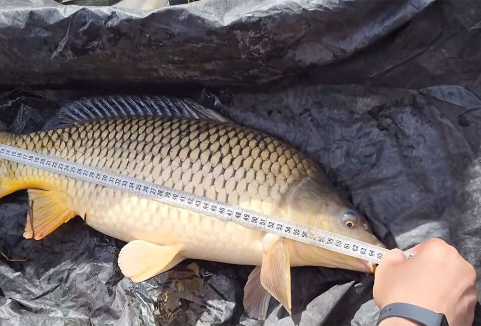 5 ошибок на рыбалке, за которые чаще всего штрафуют в 2026 году