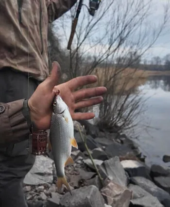 Підсумки весняної риболовлі на плітку в Києві, затоки Оболоні проти набережної 6 квітня