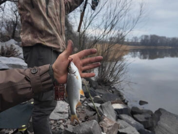 Підсумки вихідних на Дніпрі: плітка масово зайшла в затоки, поки на набережній Києва боролися зі сміттям