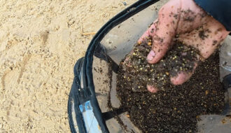 Почему мелкая плотва забивает точку: как отсеять ее и ловить крупную