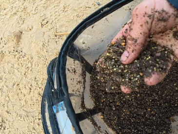 Перестаньте кормить мелочь: что добавить в прикормку, чтобы пришла крупная плотва