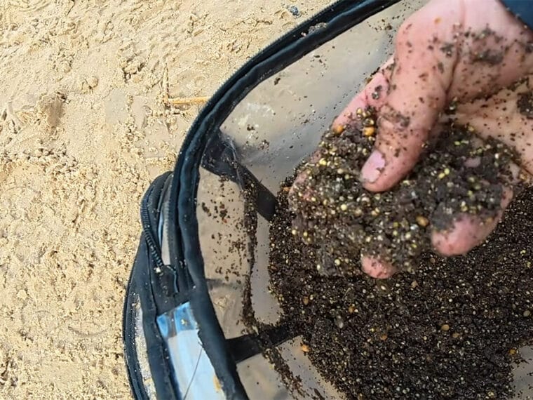 Почему мелкая плотва забивает точку: как отсеять ее и ловить крупную