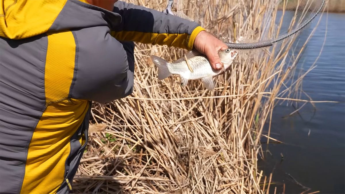 Весенняя рыбалка на дикой реке