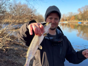 Пауза или жор? Почему щука игнорирует приманки в середине апреля (Видео)