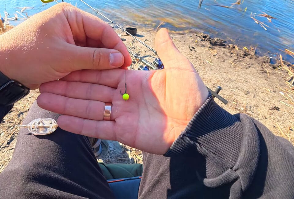 Почему поп-ап лучше червя и опарыша: секрет клева карася в апреле