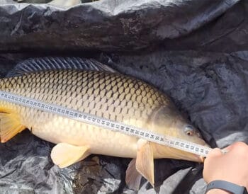 5 помилок на риболовлі, за які найчастіше штрафують у 2026 році