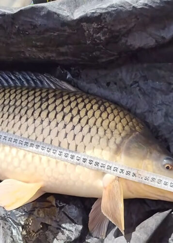 5 помилок на риболовлі, за які найчастіше штрафують у 2026 році