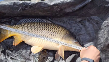 5 помилок на риболовлі, за які найчастіше штрафують у 2026 році