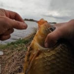 Ви неправильно використовуєте кліпсу на котушці: як зберегти волосінь і не втратити трофей