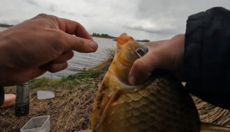Чи знаєте ви, які помилки у фідерній ловлі призводять до порожнього садка?