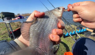 Фідерна ловля карася у квітні в холодну погоду