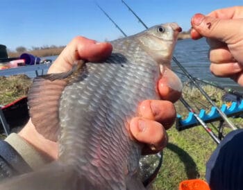 Фідерна ловля карася у квітні в холодну погоду