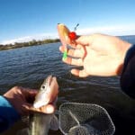 Итоги выходных на Днепре: плотва массово зашла в заливы, пока на набережной Киева боролись с мусором