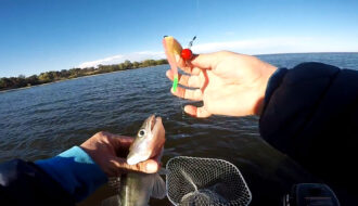 Сравнение эффективности поролона и силикона при ловле судака в мутной воде Днепра