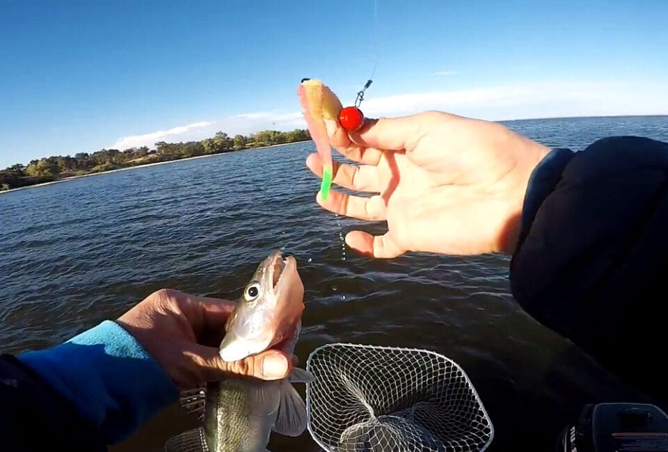 Сравнение эффективности поролона и силикона при ловле судака в мутной воде Днепра