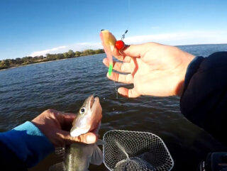 Порівняння ефективності поролону та силікону при ловлі судака в мутній воді Дніпра