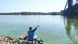 ТОП фідерів для сильної течії Дніпра: 3 моделі до 3500 грн