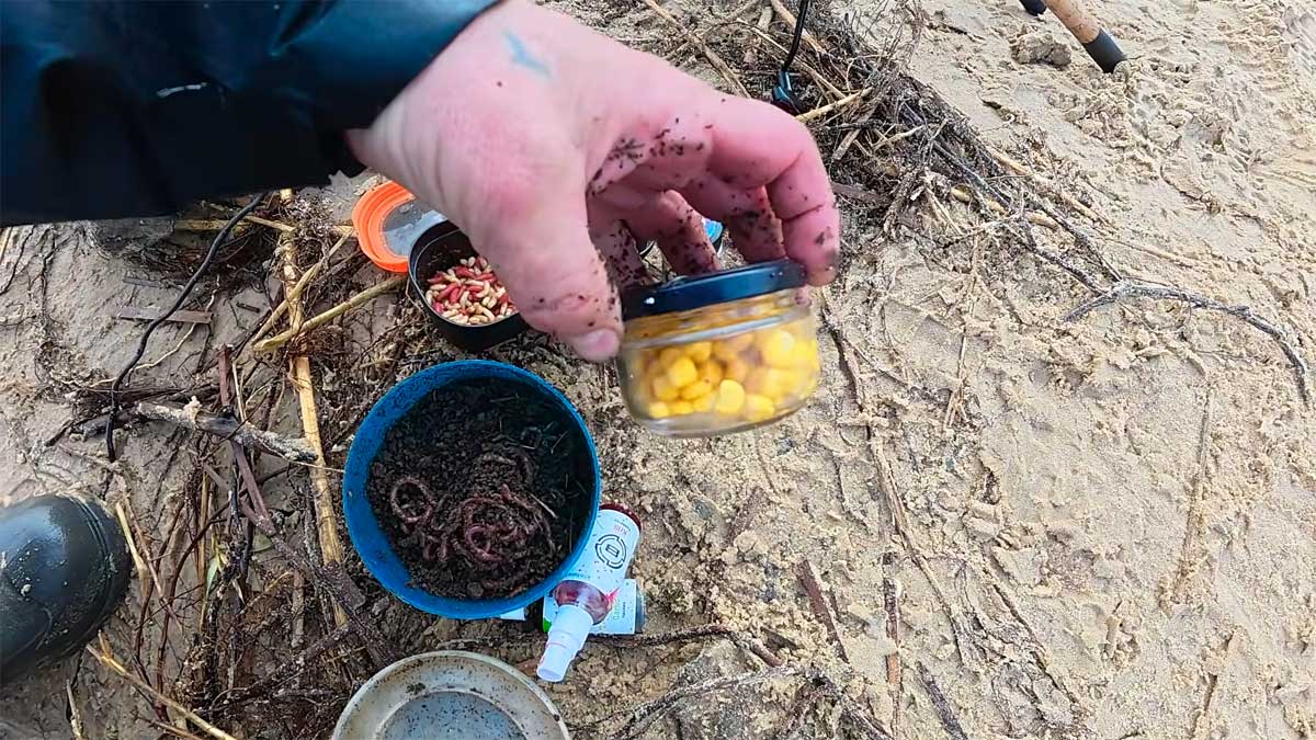 Весенняя плотва на Днепре обожает кукурузу