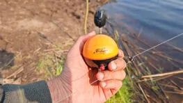 Ехолот під час нересту 2026: можна чи штраф? Розбір закону без міфів