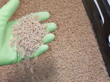 Як зберегти опариша живим - поради експертів