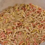 Опариш і черв'як у контейнері з тирсою, правильне зберігання наживки вдома, квітень 2026