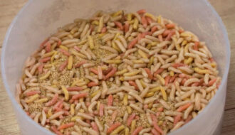 Опариш і черв'як у контейнері з тирсою, правильне зберігання наживки вдома, квітень 2026