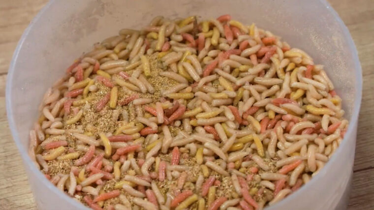 Опариш і черв'як у контейнері з тирсою, правильне зберігання наживки вдома, квітень 2026