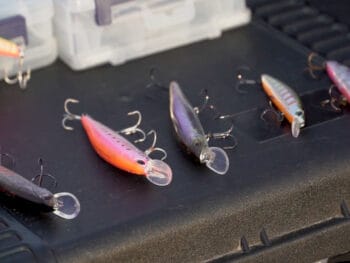 Який колір воблера кращий навесні: правило каламутної води, про яке забувають рибалки