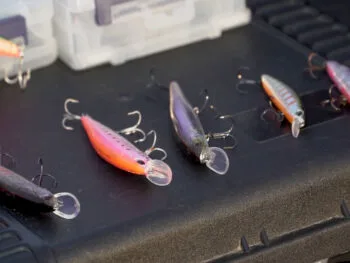 Який колір воблера кращий навесні: правило каламутної води, про яке забувають рибалки