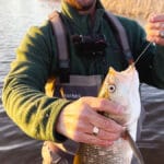 3 кг и одна трофейная: сколько рыбы разрешено ловить украинцам без штрафа в 2026 году