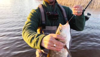 Жерех на Днепре в апреле: тактика ловли в придонном слое и выбор приманок