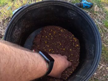 Чому прикормка "помирає" прямо на риболовлі - помилка, через яку зникає клювання