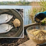 Карась меняет меню: эти насадки лучше всего работают весной