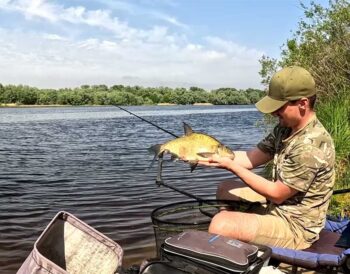Риболовля на Дніпрі: лящ змінив поведінку після нересту