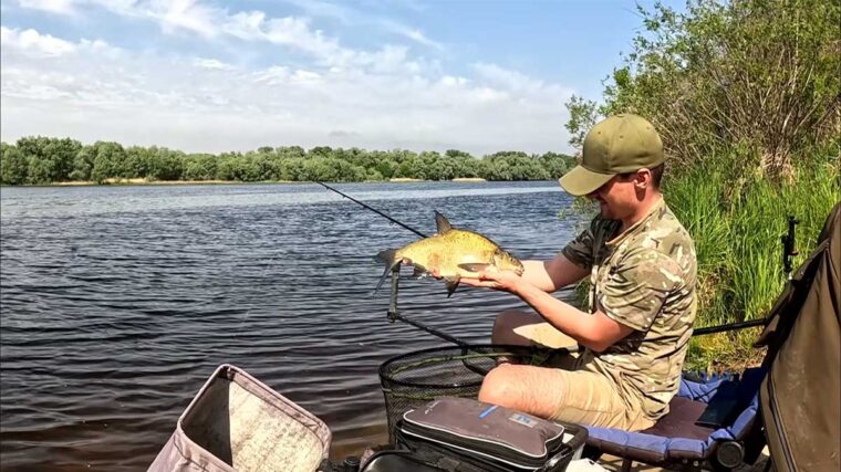 Риболовля на Дніпрі: лящ змінив поведінку після нересту