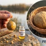 Чому спека різко вимикає клювання карася – і як врятувати риболовлю на прогрітому ставку