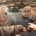 Ви псуєте прикормку і не помічаєте цього: як повернути їй “життя” за 5 хвилин